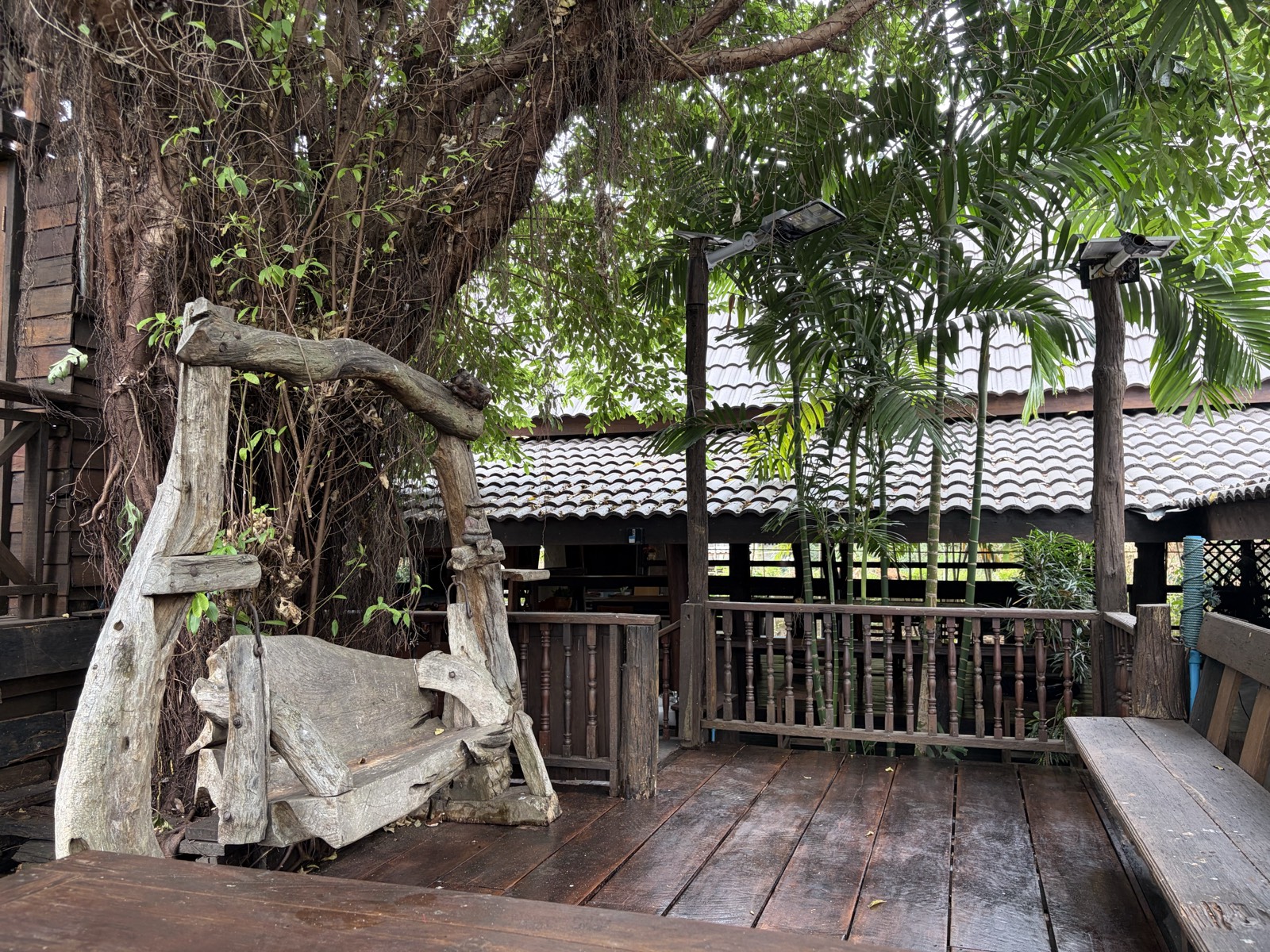 Buarawong deck swing under tree